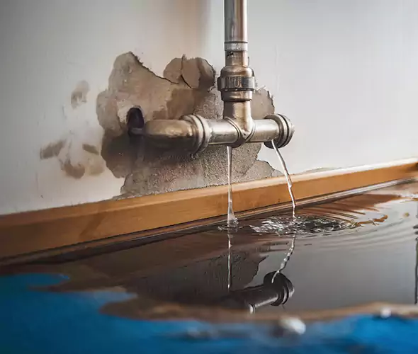 Professional Water Damage Restoration Experts in Green, OH — Fast, Reliable & Certified