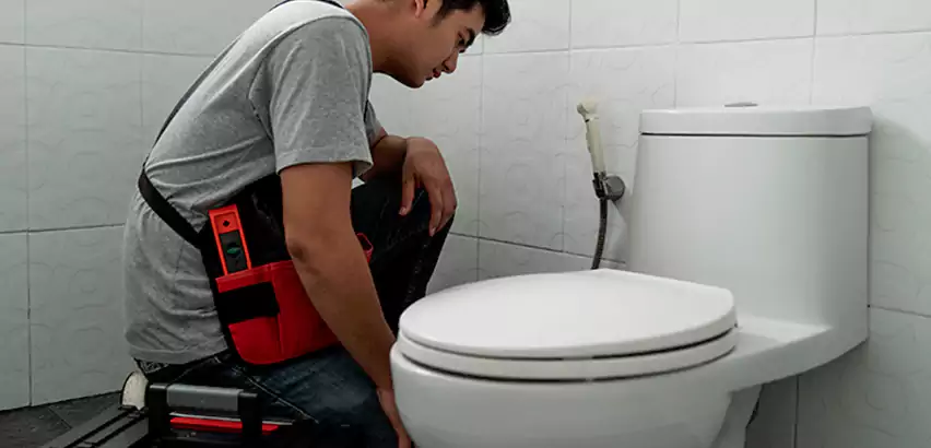 Toilet Repair in Green