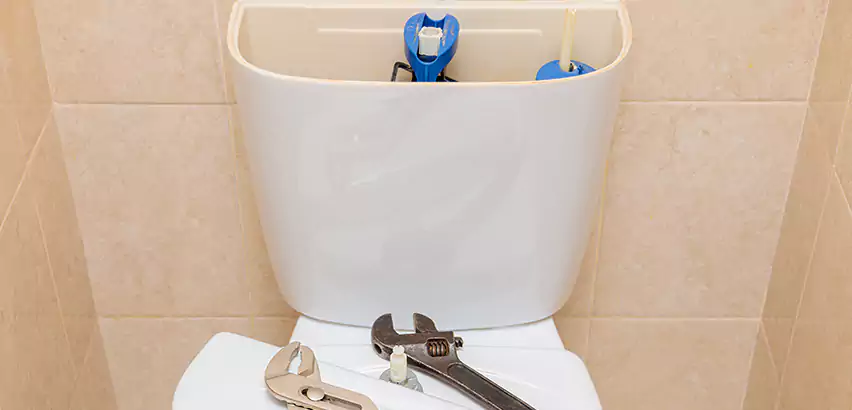 Upflush Toilet Installation in Green