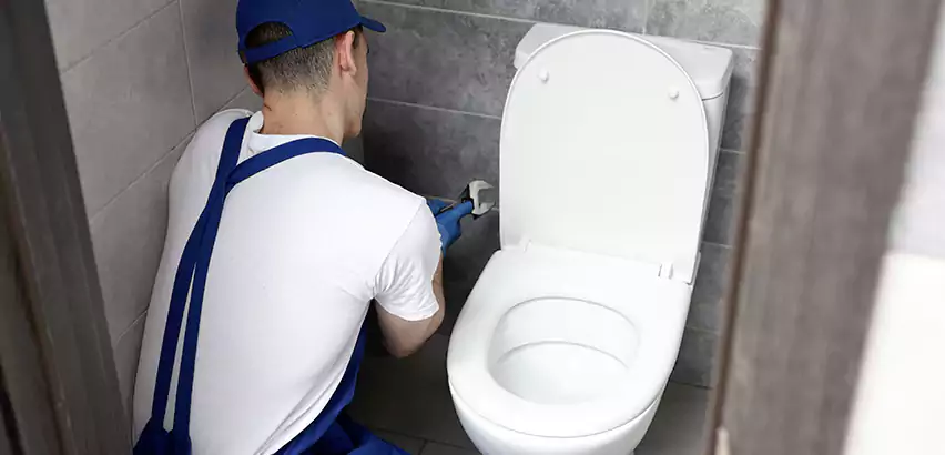Toilet Lid Replacement in Green