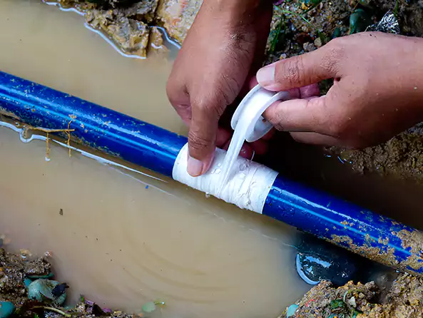  Why Choose Green Leaf Plumbers for Leak Detection in Green, OH?]